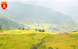 Mùa vàng ở vùng cao Y Tý